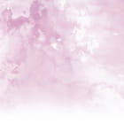 Miniatura fototapety Rosa Nebel
