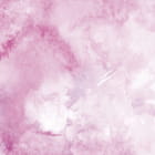 Miniatura fototapety Rosa Aquarell