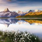 Miniatura fototapety Schweizer Alpen