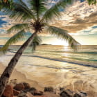 Miniatura fototapety Sonnenuntergang über tropischem Strand