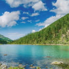 Miniatura fototapety Frühlingslandschaft