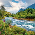 Miniatura fototapety Rauer Fluss