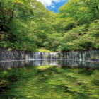 Miniatura fototapety Shiraito-Wasserfälle
