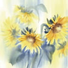 Miniatura fototapety Sonnenblumen, Aquarell