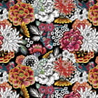 Miniatura fototapety Bunte Chrysanthemen