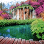 Miniatura fototapety Parken Sie in Kroatien