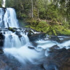 Miniatura fototapety Lauter Wasserfall