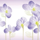 Miniatura fototapety Wunderschöne wilde Blumen