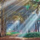 Miniatura fototapety Urwald