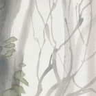 Miniatura fototapety Kahle Bäume im Nebel fragment # 1