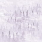 Miniatura fototapety Geheimnisvoller Wald im Nebel