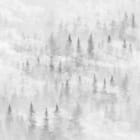 Miniatura fototapety Geheimnisvoller Wald