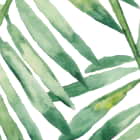 Miniatura fototapety Palmblätter auf weißem Hintergrund fragment # 1
