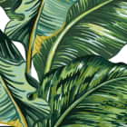 Miniatura fototapety Breite tropische Blätter fragment # 1