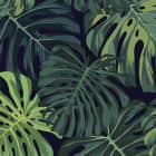 Miniatura fototapety Monstera-Blätter auf dunklem Hintergrund fragment # 1