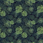 Miniatura fototapety Monstera-Blätter auf dunklem Hintergrund