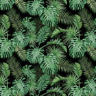 Miniatura fototapety Smaragdgrüner Regenwald