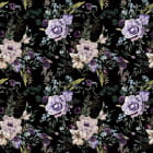 Miniatura fototapety Lila Rosen auf schwarzem Hintergrund