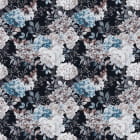 Miniatura fototapety Blumen auf dunklem Hintergrund