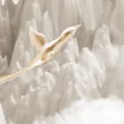 Miniatura fototapety Goldene Vögel in den Bergen fragment # 1