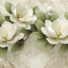 Miniatura fototapety Wunderschöne weiße Blüten