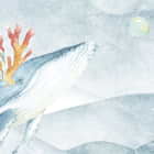Miniatura fototapety Wale Aquarell fragment #2