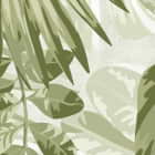 Miniatura fototapety Monstera verlässt das Zeichnen fragment # 1