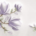 Miniatura fototapety Zarte Magnolien