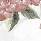 Miniatura fototapety Volumetrische rosa Blüten fragment #2
