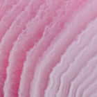 Miniatura fototapety Rosa Stein fragment # 1