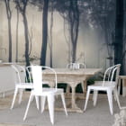 Miniatura fototapety Wald im Nebel we wnętrzu kuchni