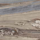 Miniatura fototapety Baumstruktur fragment # 1