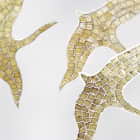 Miniatura fototapety Goldene Herde über den Bergen fragment #2