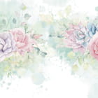 Miniatura fototapety Zarte Aquarellrosen