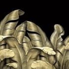 Miniatura fototapety Goldene Bananenblätter