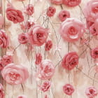 Miniatura fototapety Wand aus Puderrosen