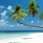 Miniatura fototapety Paradiesische Inseln