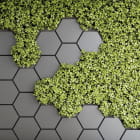 Miniatura fototapety Grüne Wand