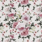 Miniatura fototapety Zart pudrige Rosen
