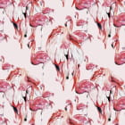 Miniatura fototapety Parade der rosa Flamingos