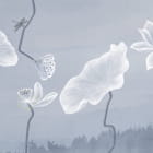 Miniatura fototapety Lotusblumen