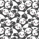 Miniatura fototapety Süße Pandas