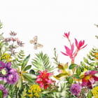 Miniatura fototapety Vielfältiger Blumengarten