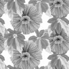 Miniatura fototapety Graue Passionsblume