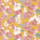 Miniatura fototapety Blumen auf orangefarbenem Hintergrund
