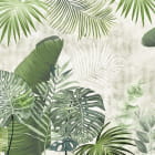 Miniatura fototapety Junges Laub