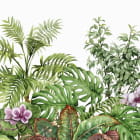Miniatura fototapety Junger tropischer Garten