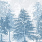Miniatura fototapety Hellblauer Wald