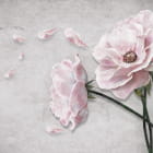 Miniatura fototapety Zarte Teerose 3D