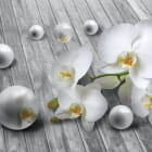 Miniatura fototapety Orchidee und Perlen 3D